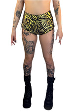 5D x Stellar Dust Helia Shorts - zebra Shorts-Womens 5D x Stellar Dust 