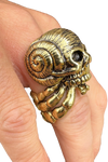 5D x Eyecon Hermit Crab Ring - brass