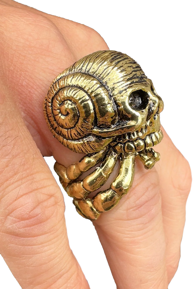 5D x Eyecon Hermit Crab Ring - brass