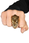 5D x Eyecon x Skinner Oblivion Wizard Ring Brass