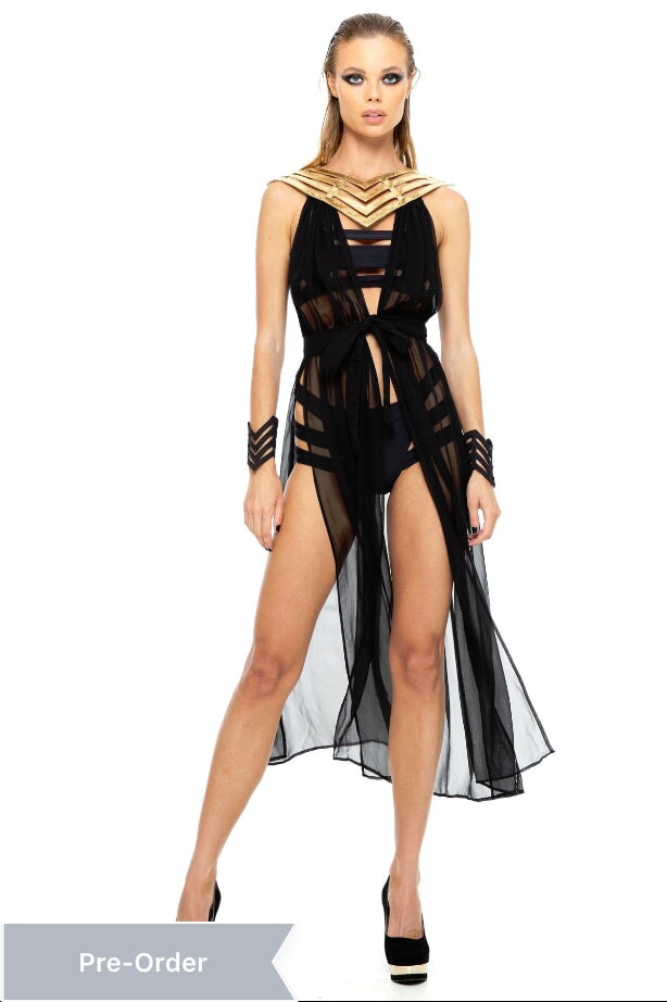 5D x Stellar Dust Chevron Cage Dress - leather/silk FIVE AND DIAMOND 5D x Stellar Dust Chevron Cage Dress - leather/silk FIVE AND DIAMOND